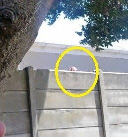 neighbour.jpg