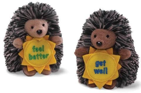 get-well-soon-feel-better-qwilly-porcupines-3-gund-6_large.jpg