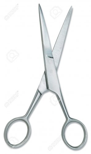 silver-scissors.jpg