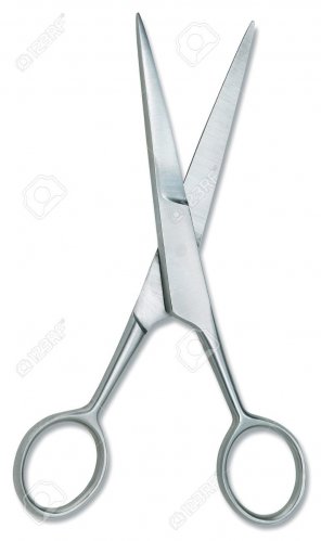 silver-scissors.jpg