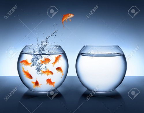 25944855-goldfish-jumping-improvement-and-career-concept-Stock-Photo-fish-goldfish-aquarium.jpg