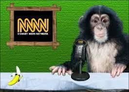 monkey news-1.jpg