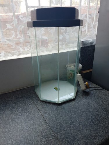 IMG-20161208-WA0007.jpg IMG-20161208-WA0007.jpg