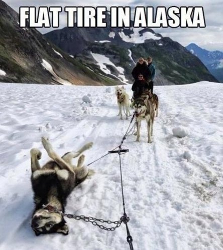 Flat tire in alaska.jpg