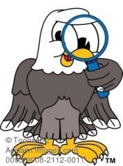 eagle-eye-clipart-1.jpg