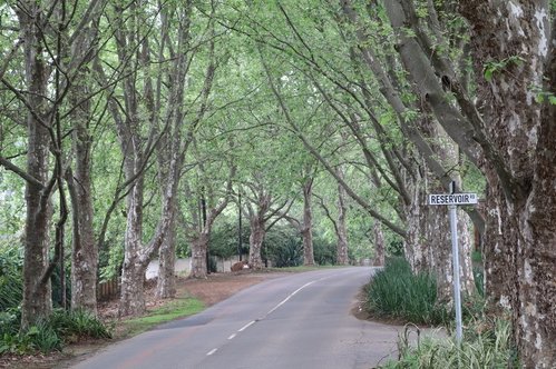 WinstonPark2.jpg