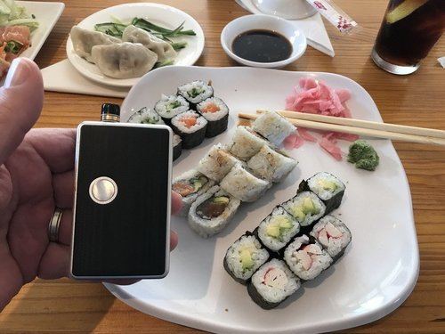 Shushi 004.JPG