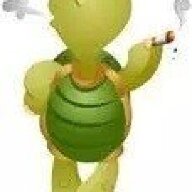 theturtle