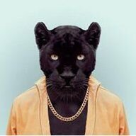 BigMeow