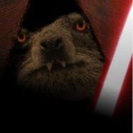 Dassie