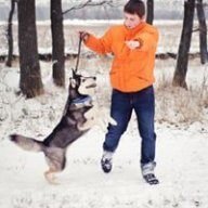 Jakysh