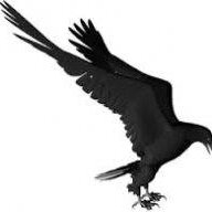 Raven