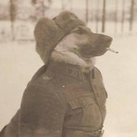Commissar