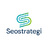 seostrategi