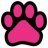 Pinkpaw