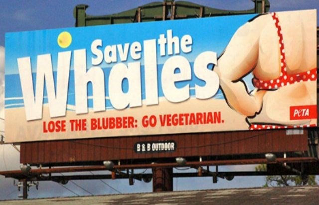 peta_fat_shame_ad.jpg