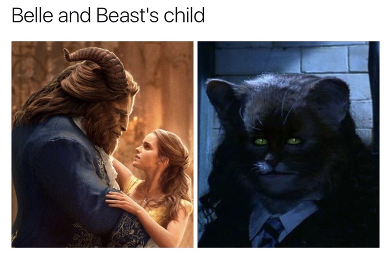 funny-memes-person-belle-and-beasts-child