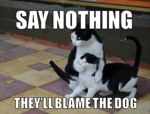 lolcats1.jpg
