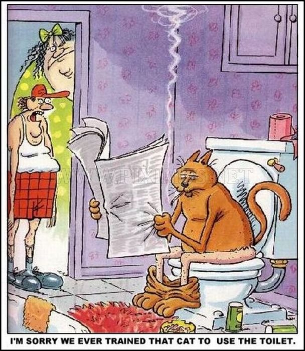fun-cartoons-36.jpg