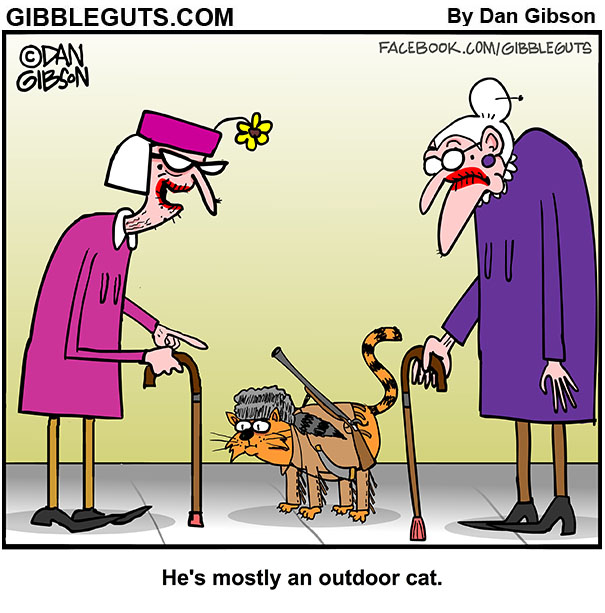 outdoor-cat-sm-1.jpg