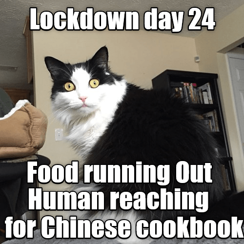 lockdown-day-24