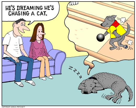 dog-dream.jpg