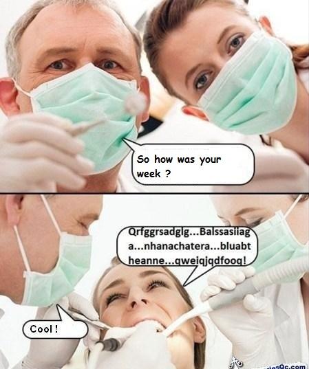 8xwz3svjo9yx.jpg