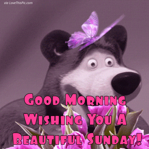 9f61f7142c299a31f5438b93a4241d54.gif