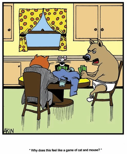 cat_and_mouse_2003375.jpg