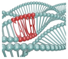 carcinogenic-compound.jpg