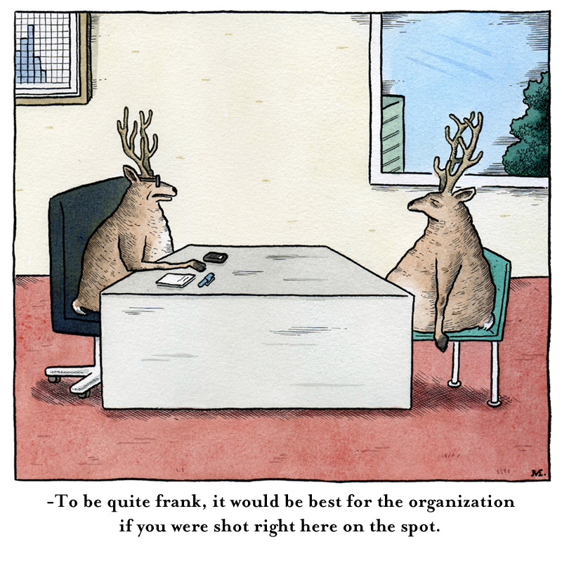 organization.jpg