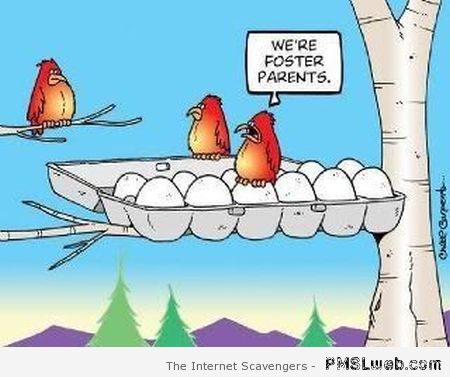 34-foster-parents-funny-bird-cartoon.jpg