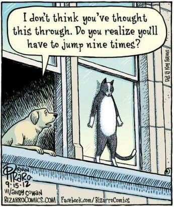 dd85f1d1a08820467b3571d4b4196034--cat-stuff-funny-stuff.jpg