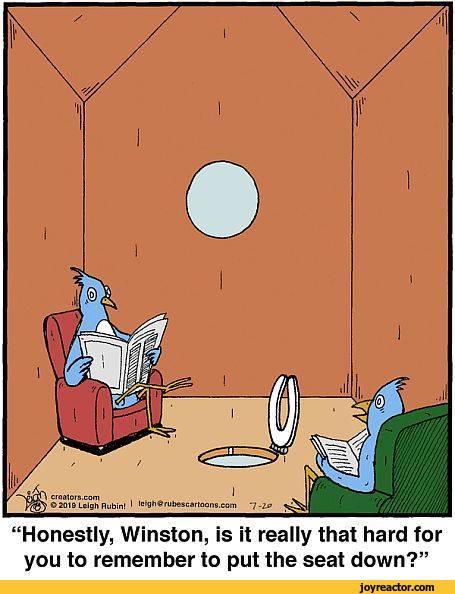 comics-cartoon-rubescartoons-birds-5372171.jpeg