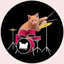 cat-and-drum.jpg
