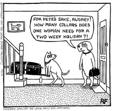 efbcdf4e4a6f101e46cdc4896f3e1548--dog-jokes-dog-humor.jpg