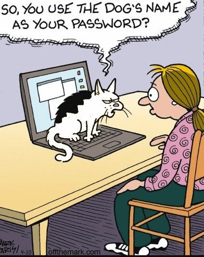 lolcat-cartoon.jpg