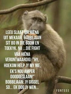 bc8fa6b801c1bc5c46199ea3258d4c71--afrikaans.jpg