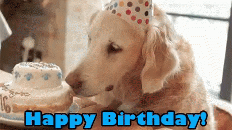 a5edef97e4adf41c0f9ea7d2f1a920ac.gif