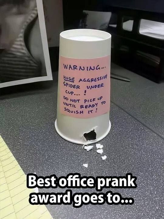 fb2a2d3674920f4c27281bd68f7ea70b.jpg