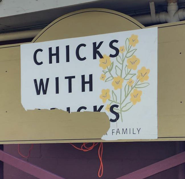 Chicks-with.jpg