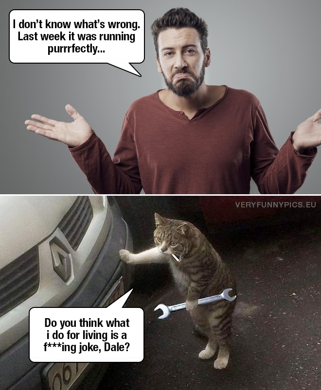 funny-pictures-cat-as-a-mechanic.jpg