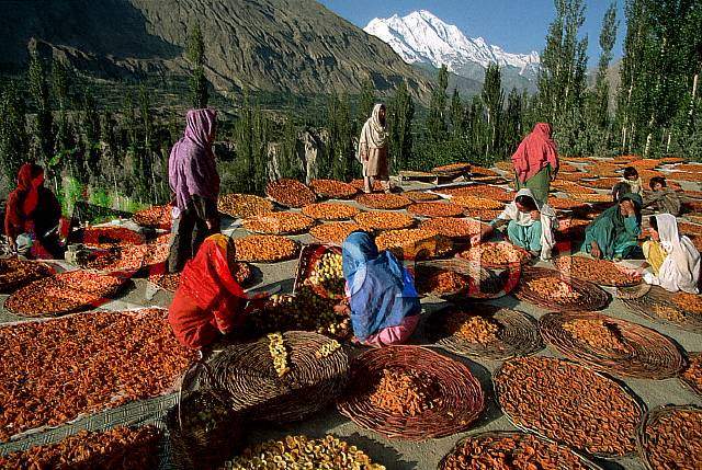 hunza2.jpg