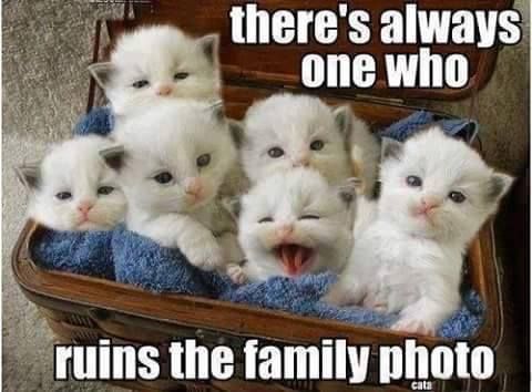 fb3aeabd94dd96ef71ac67c1a8235472.jpg