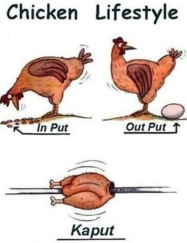 chicken_kaput.jpg