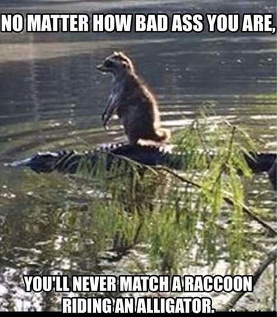 367b65c7192e03109e68321d9ce028f6.jpg