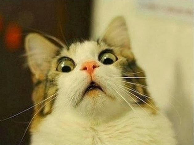 shocked+face.jpg