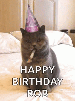 birthday-rob.gif