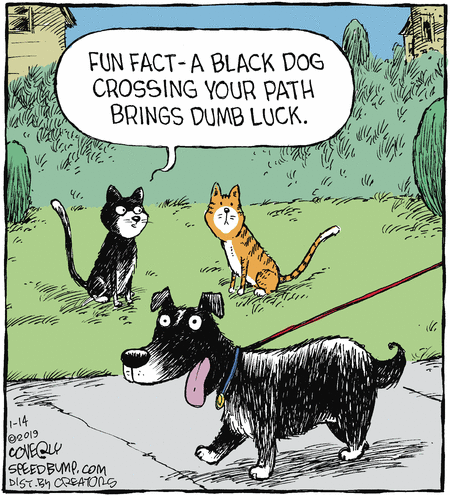 july08-speed-dog-coverly.gif