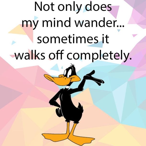 6362ea2a5ad8d17f7de3b5392fb25503.jpg